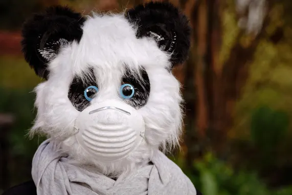 Pronto Cazino Cazinou Suport